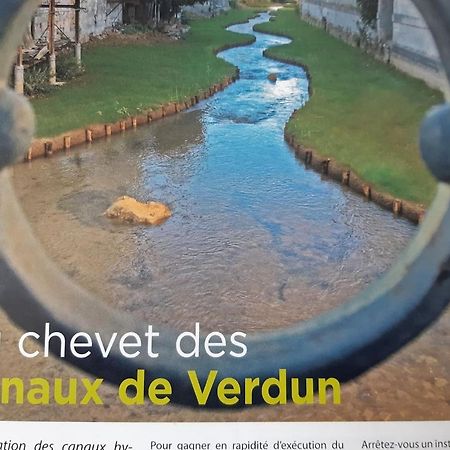 Au Chevet Des Canaux De Verdun Verdun-sur-Meuse Exterior foto